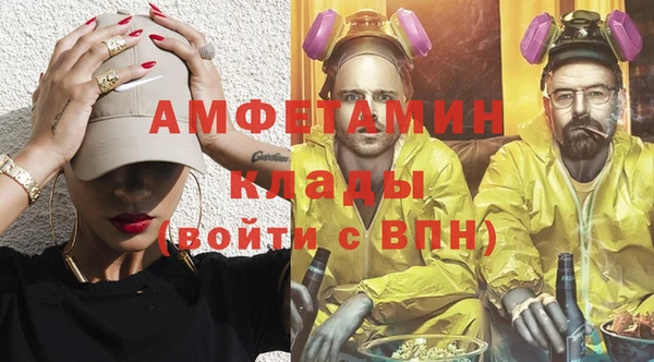 индика Покачи