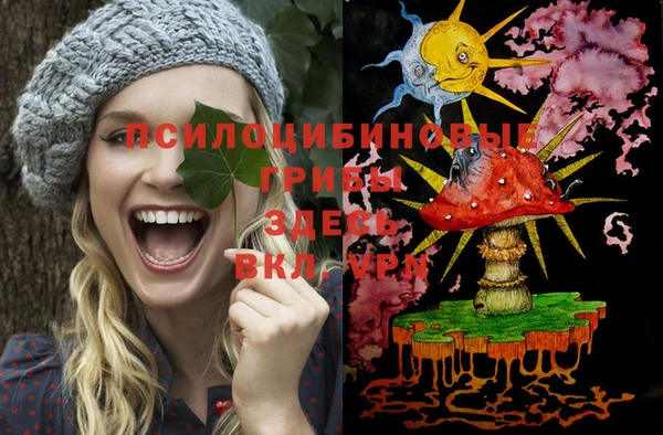 метамфетамин Алексин