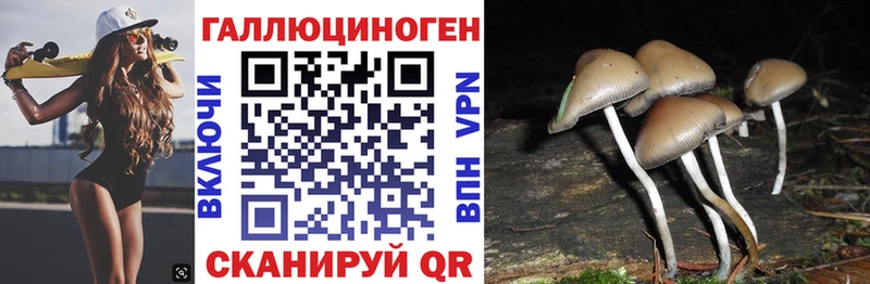 Псилоцибиновые грибы прущие грибы  Дрезна 